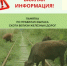 Памятка о правилах прогона и выпаса скота вблизи железнодорожных путей - Администрации г. о. Сибай